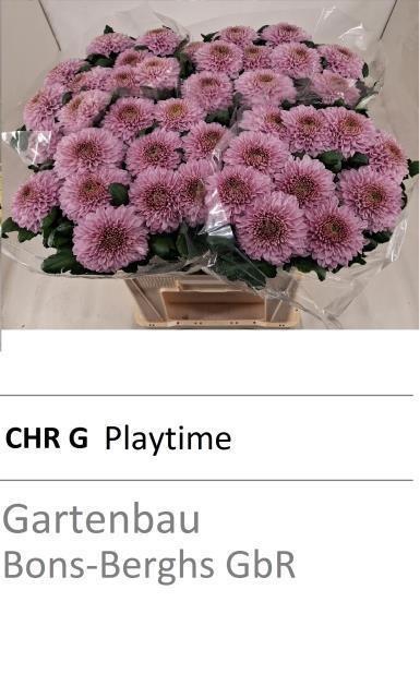 <h4>CHR G PLAYTIME</h4>