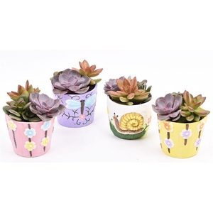 Keramiek sierpotjes 10cm