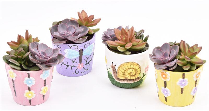 <h4>Keramiek sierpotjes 10cm</h4>