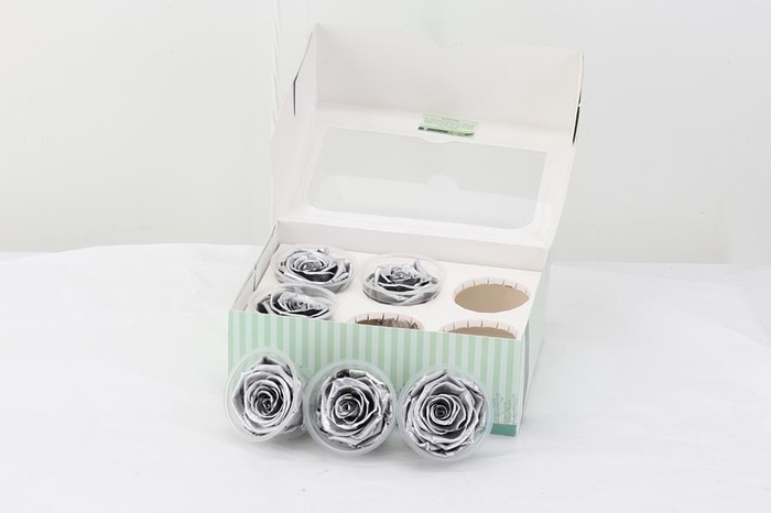 Rosa Preserved Silver
