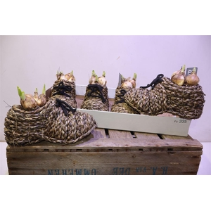 arr8 Arr N Tete A Tete In Rieten Schoen