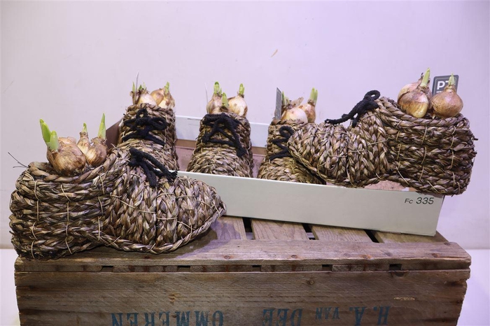 <h4>Arr N Tete A Tete In Rieten Schoen</h4>