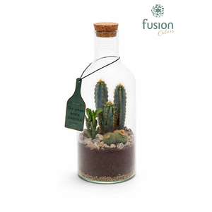 Green Bottle Fles Medium met Cactussen