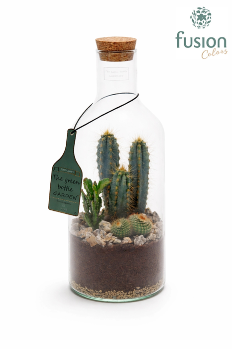 <h4>Green Bottle Fles Medium met Cactussen</h4>