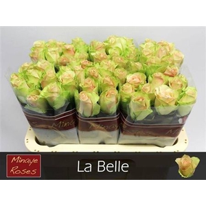 R Gr La Belle