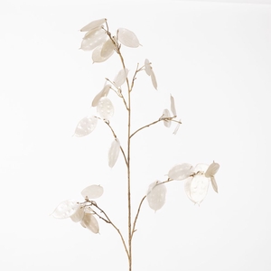 Af Lunaria Sp Pearl L127cm Cre