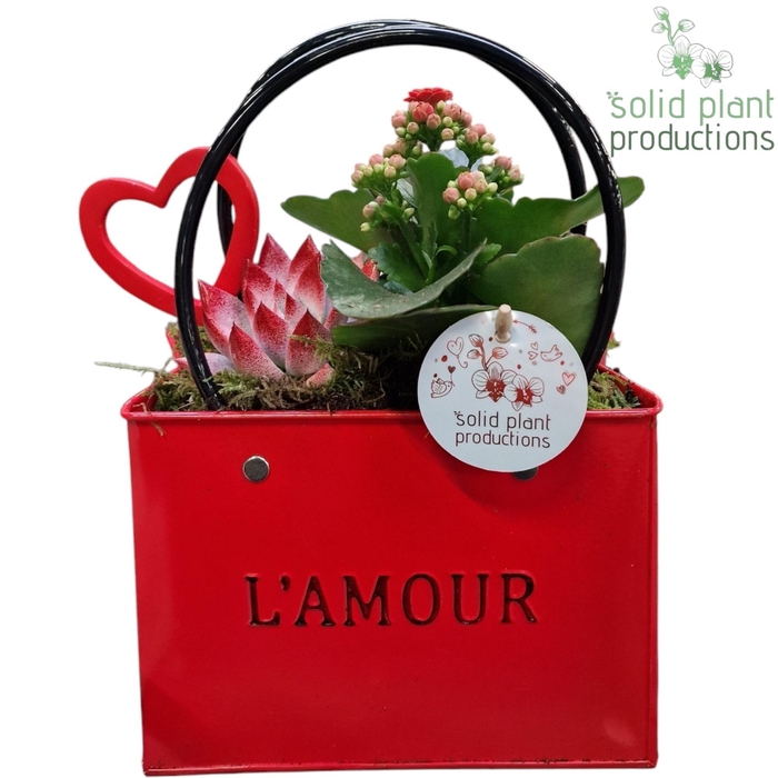 <h4>ZKE001 Love Red Bag Large</h4>