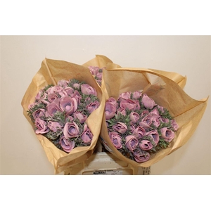 Anem Marianne Powder Wine Red