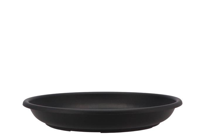 Floristry Plate 30cm P/10 Black