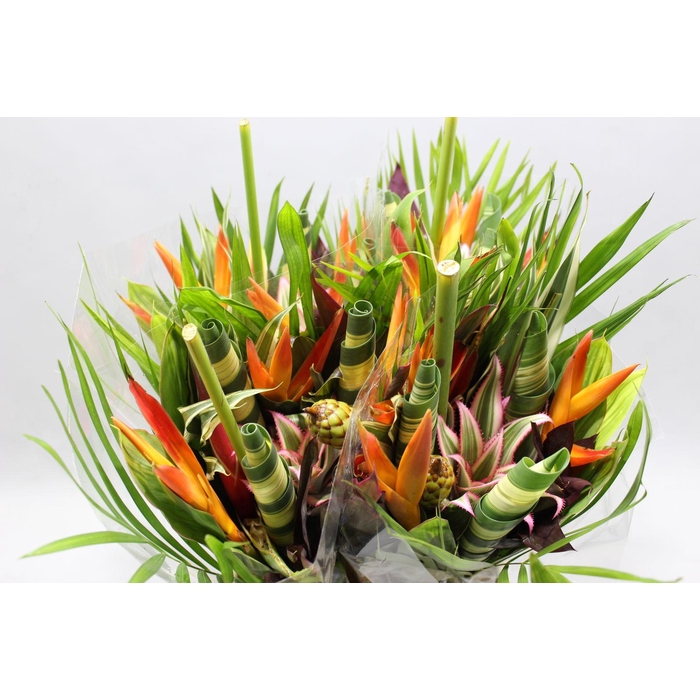 <h4>Heliconia A Bqt Dag Ron 566</h4>