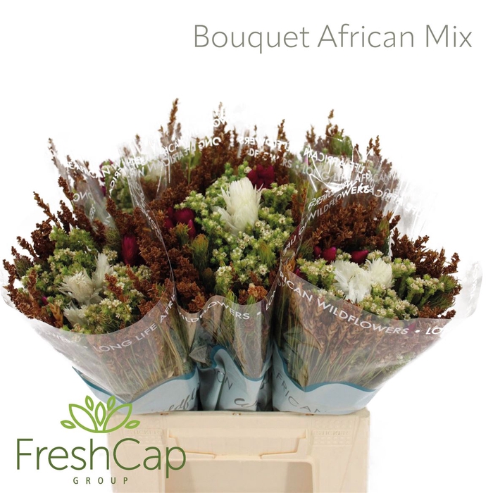 <h4>Bouquet African Mix</h4>