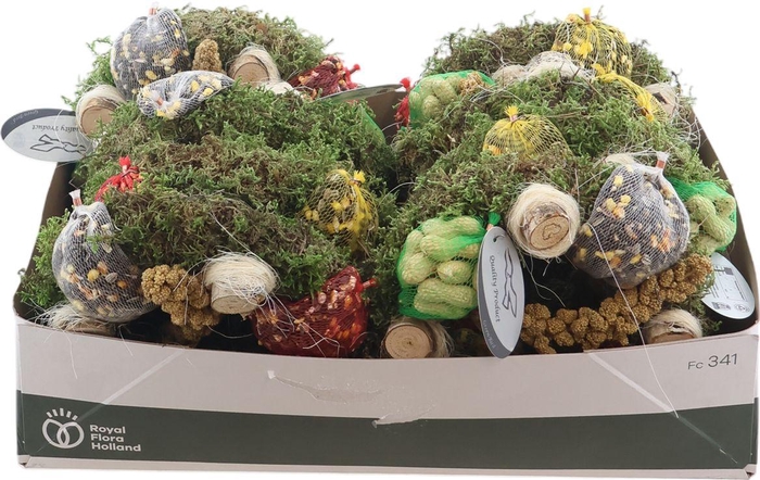 <h4>Dec Vogelzaadfiguur</h4>