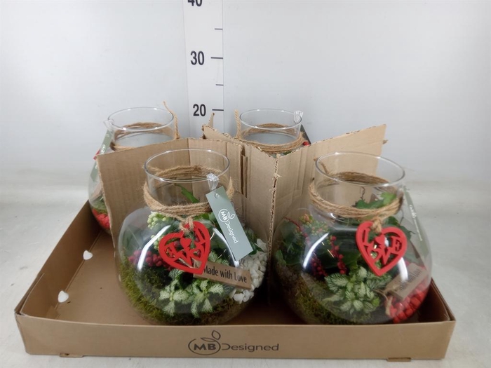 <h4>Arr.    Planten  H%</h4>