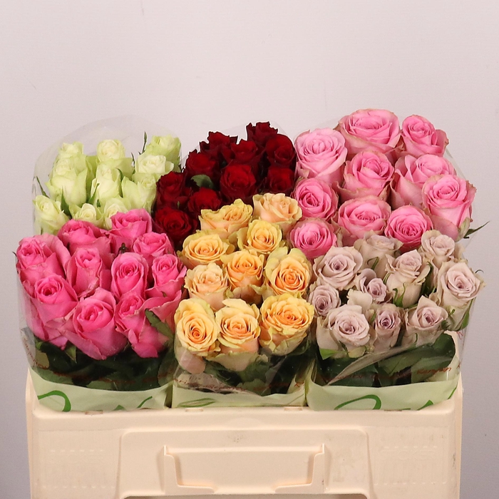 <h4>R GR GEM IN FUST</h4>