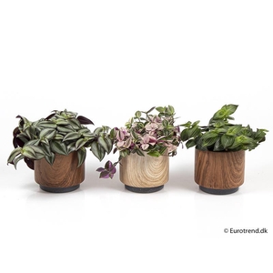 E 2086 trælook skj 10,5 cm