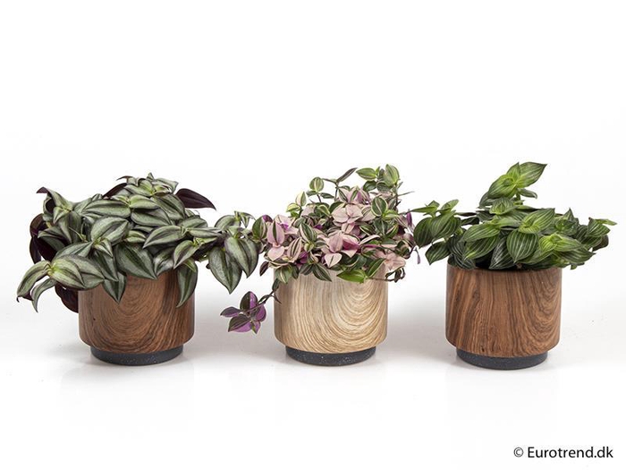 <h4>E 2086 trælook skj 10,5 cm</h4>