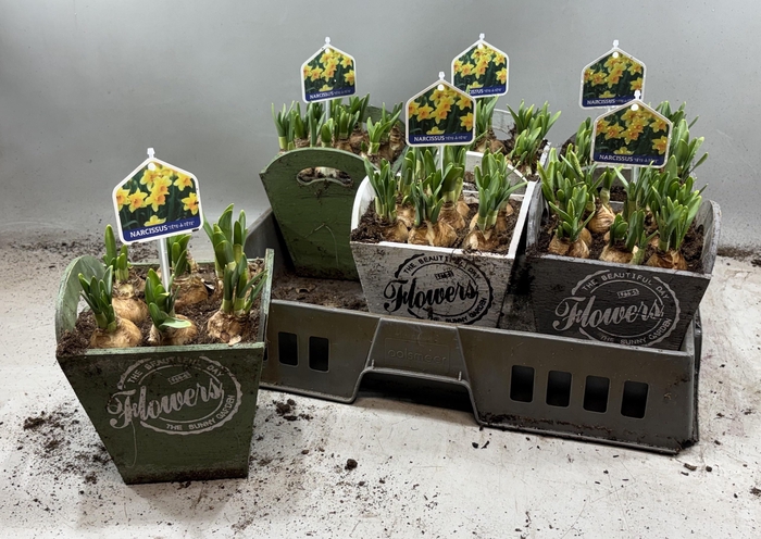 <h4>ARR N TETE A TETE</h4>