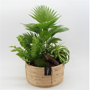 GRCR-2506 Green Essentials