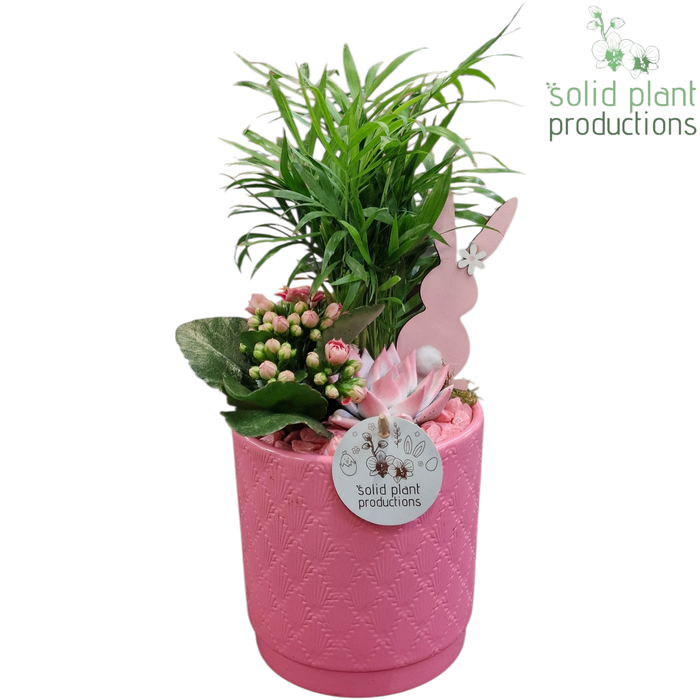 <h4>CE001 Amy Pink Easter</h4>