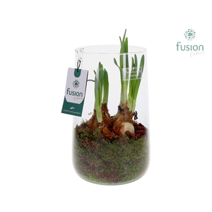 Green Bottle Deline Large met Narcissus