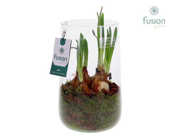 <h4>Green Bottle Deline Large met Narcissus</h4>