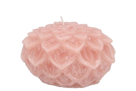 <h4>Candle Dahlia Old Light Pink 12x8cm Nm</h4>