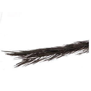 Bunch Khajur Leaf 3pcs Slv L50