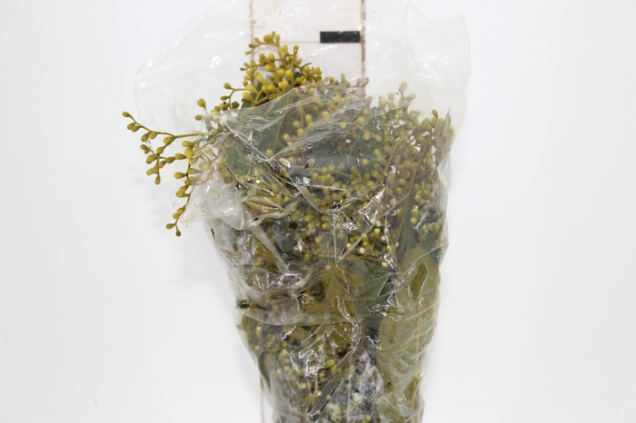 <h4>FOLHAGEM DEDO DE ANJO TINGIDO 060 CM AMARELO</h4>