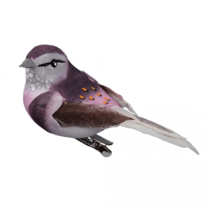 <h4>Voorjaar Vogel/clip 10cm x6</h4>