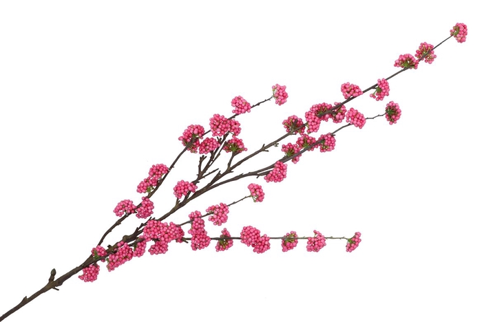 <h4>Silk Berry Callicarpa Pink 130cm</h4>