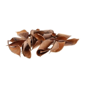 Brownie Curved 50g L8W7H12