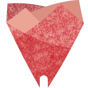 Hoezen Smartsl.Louise 50*44cm x50 PCR