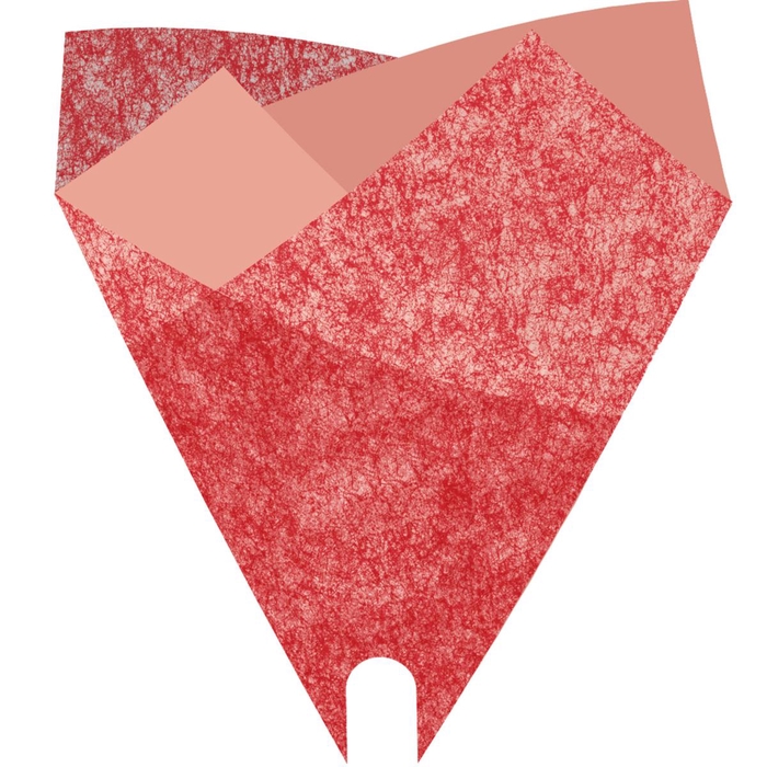 <h4>Hoezen Smartsl.Louise 50*44cm x50 PCR</h4>