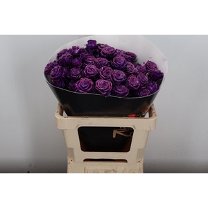 Wax-Rozen Wax Wit Zilver glitter