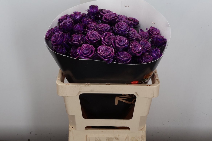 <h4>Wax-Rozen Wax Wit  Zilver glitter</h4>