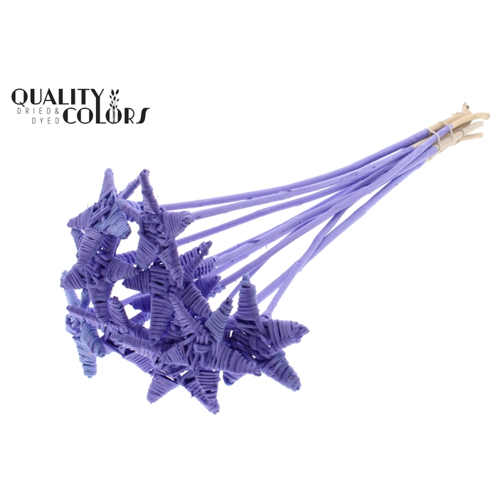 <h4>Lata Star on stem Covered Milka</h4>