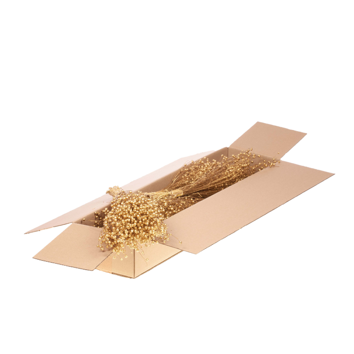<h4>Linum Sb Gold</h4>