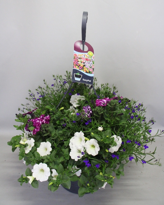 <h4>Hangpotten 37 cm met waterreservoir Mix 09 White purple sky mix</h4>