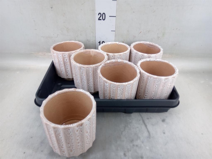 <h4>Pot   ...Keramische H%</h4>