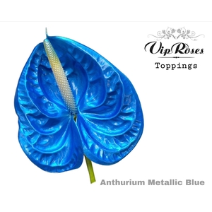Anthurium paint metallic blue