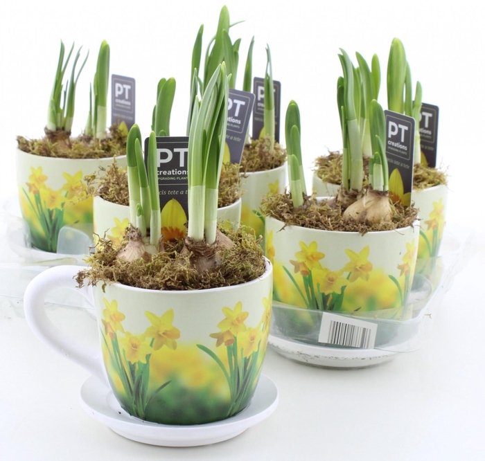 arr8 Arr N Tete A Tete In Keramiek