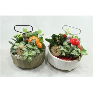 5524 ETAGAIRE ROND X5