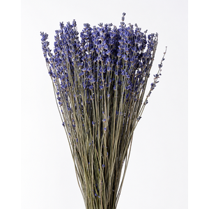 Dried Lavender Dark Blue 100gr x20