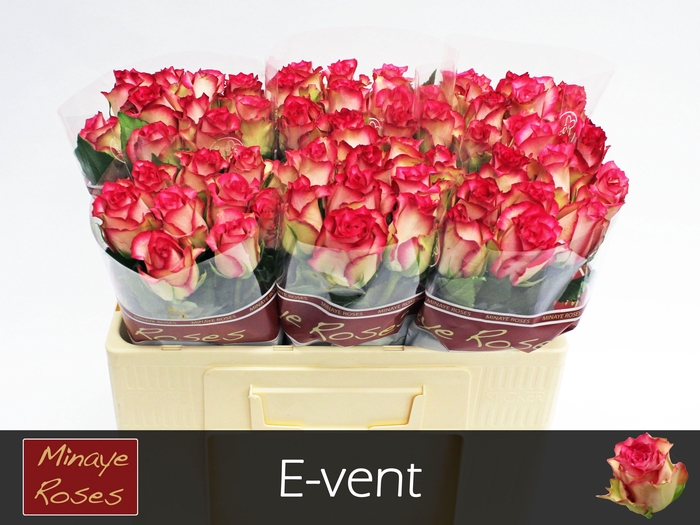 <h4>R GR E-VENT</h4>