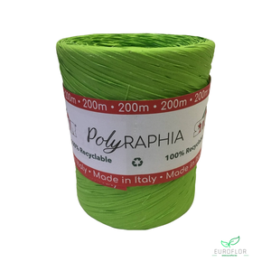 POLYRAPHIA APPLEGREEN 15MM 200M (color65)