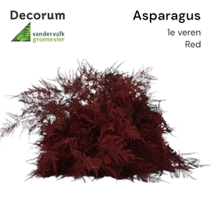 Asp 1e Veren Red 45cm Box X50