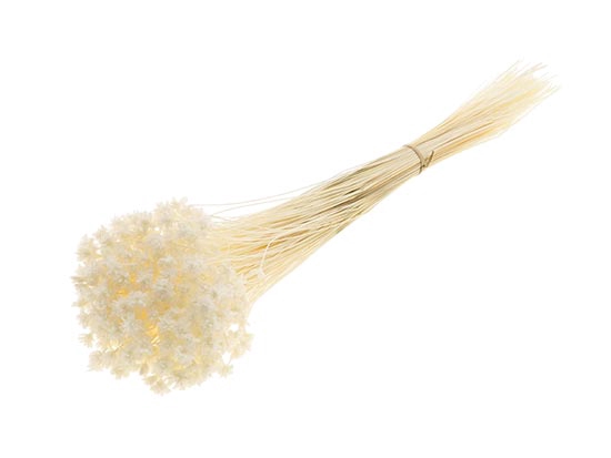 Bunch Hill Flower Slv 100g L45