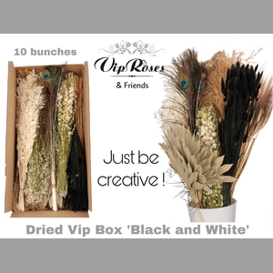DRIED VIP BOX BLACK & WHITE