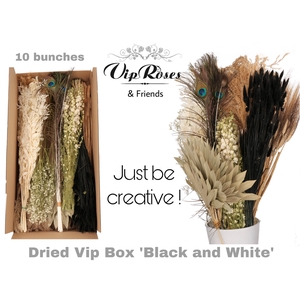 DRIED VIP BOX BLACK & WHITE