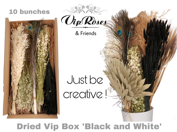 Vip Dried Vip Box Black & White